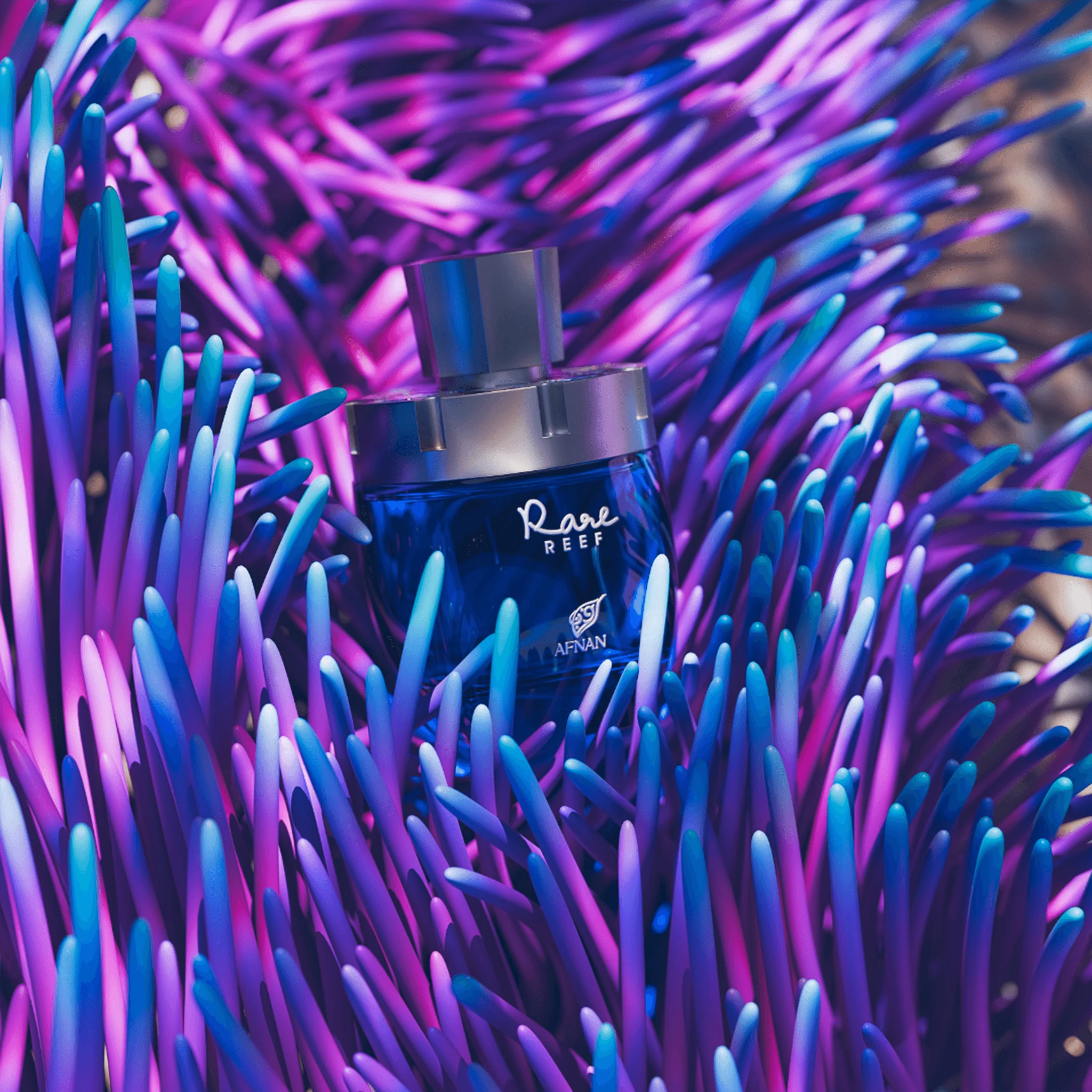 Rare Reef - Image 6